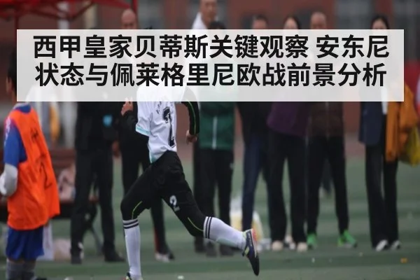 西甲皇家贝蒂斯关键观察 安东尼状态与佩莱格里尼欧战前景分析