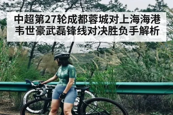 中超第27轮成都蓉城对上海海港韦世豪武磊锋线对决胜负手解析